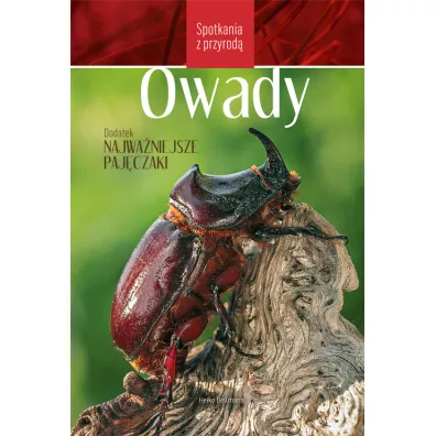 Spotkania z przyrod. Owady - Bellmann Heiko