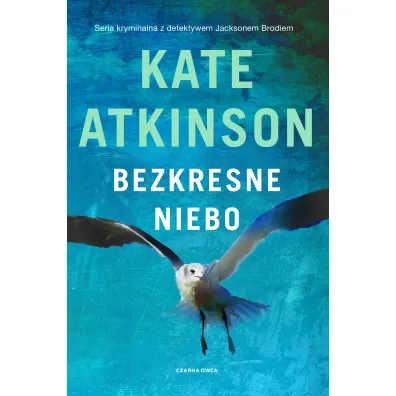 Jackson Brodie. Bezkresne niebo - Kate Atkinson