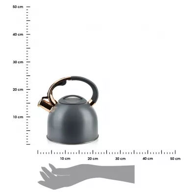 Mondex Czajnik Sten Grey Gold 2.5 l