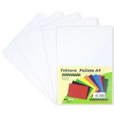 Penword Tektura A4 falista bia�a 5 szt.