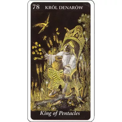 Karty. Tarot �wietlistej Drogi