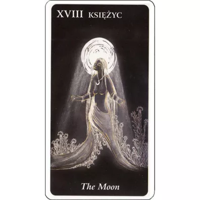 Karty. Tarot �wietlistej Drogi