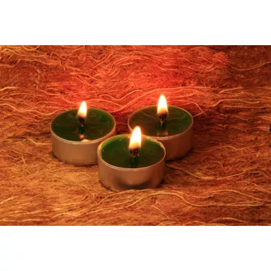 wieca tealight z wosku pszczelego - zielona