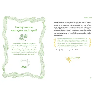 Drzewnik. Le�na terapia w praktyce