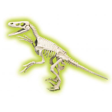 Skamieniaoci - Welociraptor fluorescencyjny Clementoni