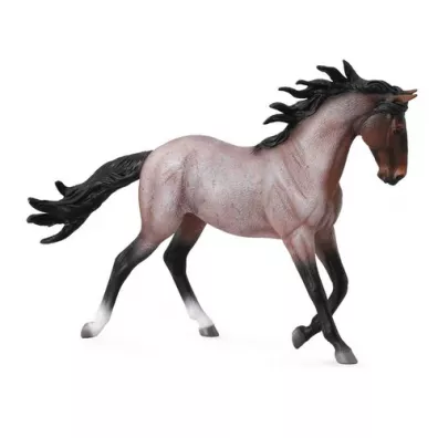 Klacz Mustang maci Bay Roan