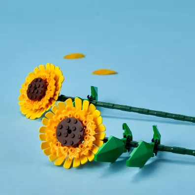 LEGO Iconic Soneczniki 40524
