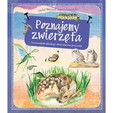 Poznajemy zwierz�ta. Przewodnik m�odego obserwatora przyrody - Dorota Zawadzka, Micha� Brodacki, Alicja Gadomska