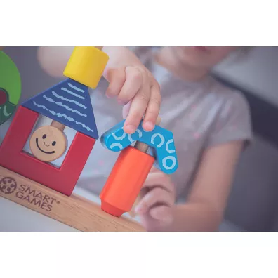Smart Games. Day & Night (ENG) IUVI Games