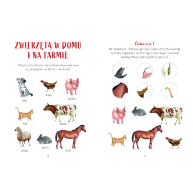 �wiczenia dla przedszkolak�w z elementami metody Montessori