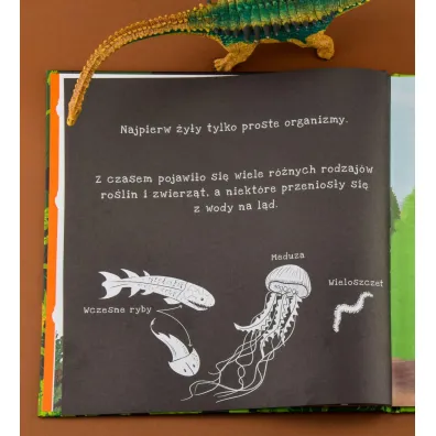 Dinozaury. Pod�wietl i Odkryj