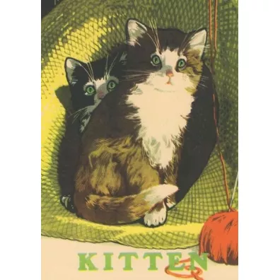 Madame Treacle Karnet B6 z kopert� Dwa kotki