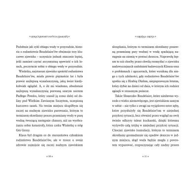 Gro�na grota. Seria niefortunnych zdarze�. Tom 11