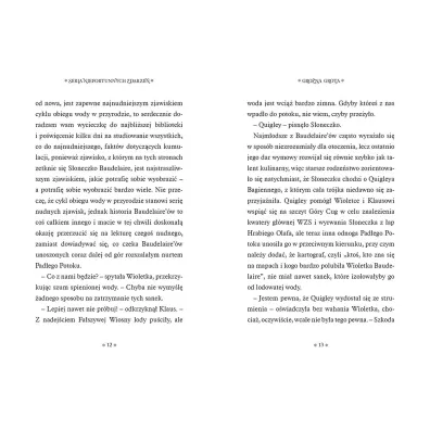 Gro�na grota. Seria niefortunnych zdarze�. Tom 11