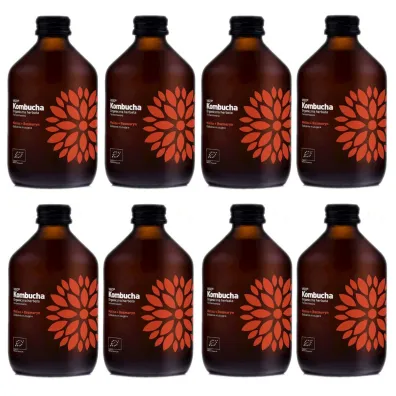 Vigo Yoko Kombucha z malin� i rozmarynem Zestaw 8 x 330 ml Bio