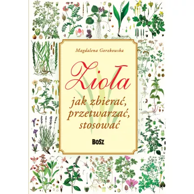 Zio�a. Jak zbiera�, przetwarza�, stosowa� - Magdalena Gorzkowska