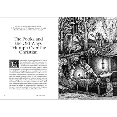 Dark Fairy Tales: Weird, Wicked Stories from Around the World