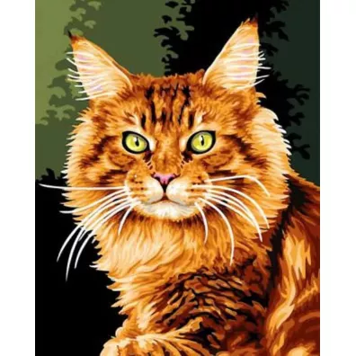 Norimpex Malowanie po numerach Kot rudy 50x40cm 1006816
