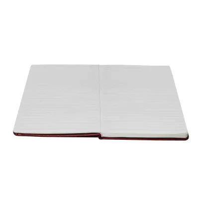Antra Notes A5 Formalizm linia