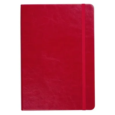 Antra Notes A5 Formalizm linia