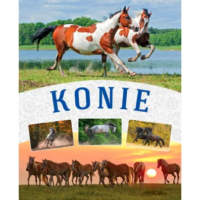 Konie - Ma�gorzata  M�kosa
