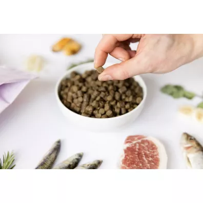 Ydolo Puppy - wieprzowina Iberico i ryby - karma pwilgotna dla szczenit 10 kg