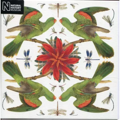 Museums & Galleries Karnet kwadrat z kopert� Red-winged Parrot