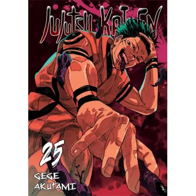 Jujutsu Kaisen. Tom 25 - Gege Akutami