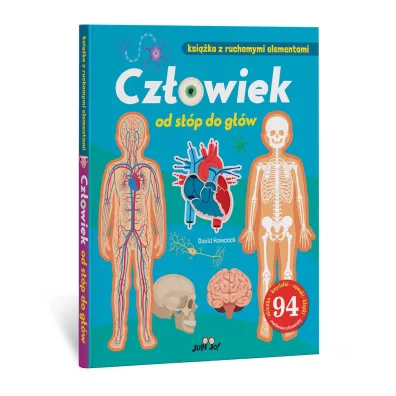 Cz�owiek od st�p do g��w. Ksi��ka z ruchomymi elementami