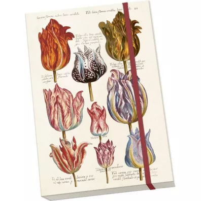 Skona Ting Notatnik ozdobny A5 STNOTE 124 Tulipany
