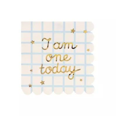 PartyDeco Serwetki papierowe I am one today 33x33cm