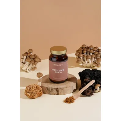 Natu.Care Lion`s mane & Chaga 1500 mg Suplement diety 45 g