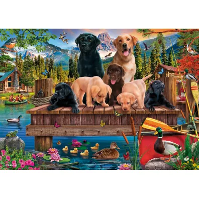 Puzzle 1000 el. PQ Psia rodzina nad jeziorem Schmidt