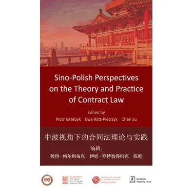 Sino-Polish Perspectives on the Theory and... - Ewa Rott-Pietrzyk, Piotr Grzebyk, Chen Su