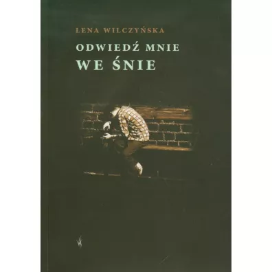 Odwied mnie we nie - Lena Wilczyska