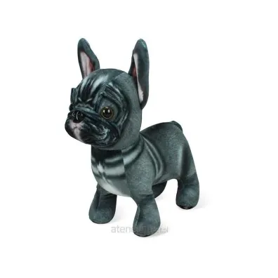 Maskotka Buldog Ranok-Creative