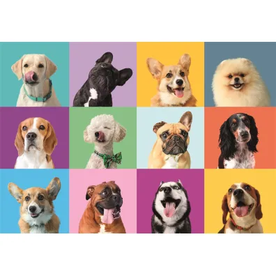 Puzzle 300 el. Super Funny Faces Clementoni