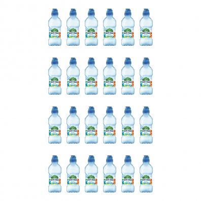 Żywiec Zdrój Zdrojek Niegazowany Woda źródlana Zestaw 24 x 310 ml