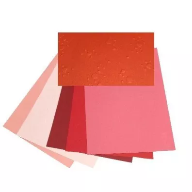 Galeria Hobby Karton wyt�aczane serca 220g, 25x35cm, 5 arkuszy