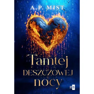 Tamtej deszczowej nocy - A.P. Mist