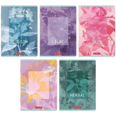 Herlitz Zeszyt A5/60K kratka Blossom