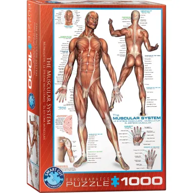 Puzzle 1000 el. Cz�owiek Eurographics
