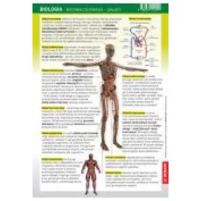Demart �ci�gawka Biologia - Budowa Cz�owieka - Uk�ady