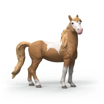 SLH klacz rasy Mustang 14920 20448