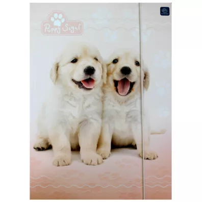 Teczka A4 z gumk Puppy sign