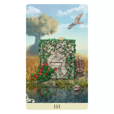 Viceversa Tarot Mini, karty do wr�enia