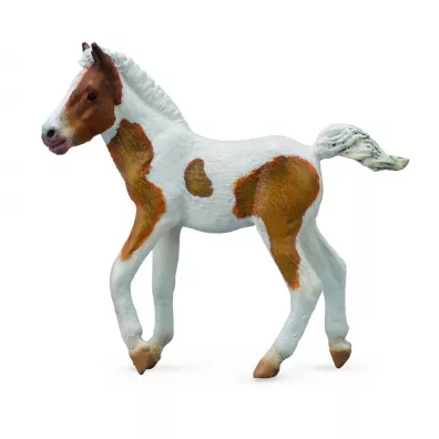 �rebi� rasy Dartmoor Hill 004-88735