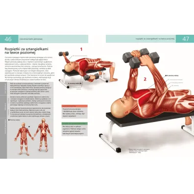 Anatomia ruchu. Podr�cznik �wicze�