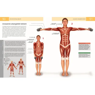 Anatomia ruchu. Podr�cznik �wicze�