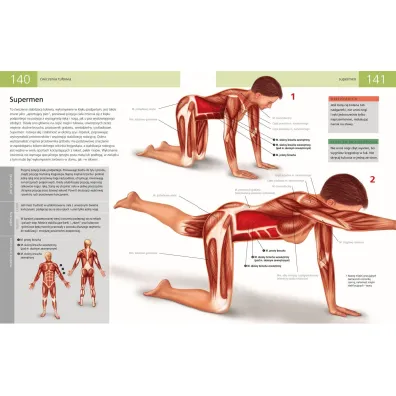 Anatomia ruchu. Podr�cznik �wicze�